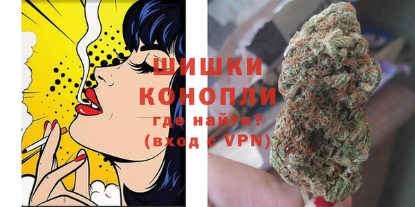 прущие грибы Горнозаводск