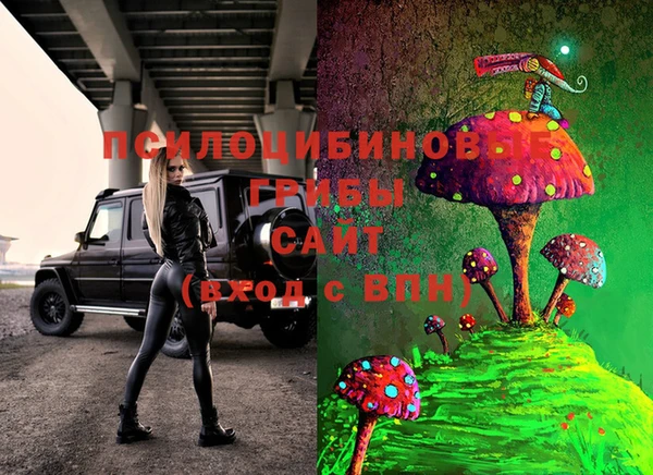 а пвп мука Гусев