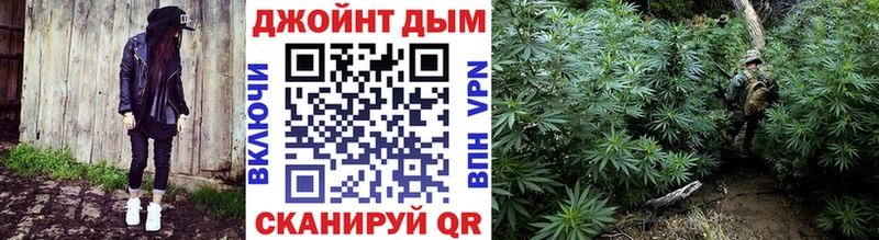 Бошки Шишки семена  Купить закладки  Петровск 